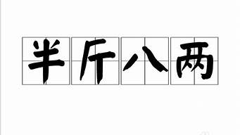 半斤八两的意思解释_半斤八两的意思解释词