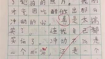 比比皆是造句简单的二年级_比比皆是造句10字