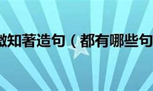 见微知著造句六年级的水平_用见微知著造句