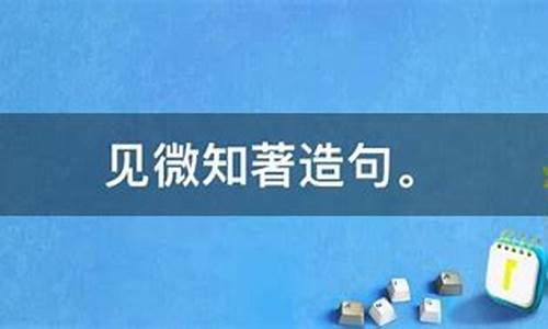 见微知著造句大全及答案简单_见微知著造句