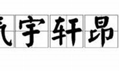 气宇轩昂造句短句四年级下册_气宇轩昂造句