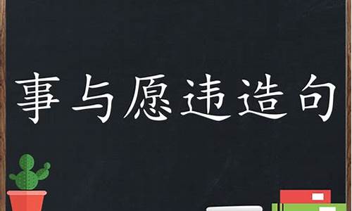 事与愿违造句二年级怎么写_事与愿违造句二