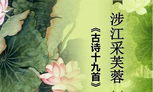 涉江芙蓉原文注音_涉江采芙蓉