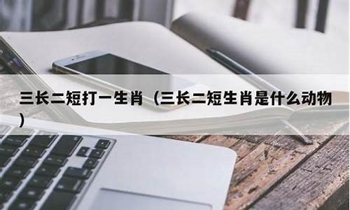 场长补短打一生肖是啥寓意是什么_场补是什么意思